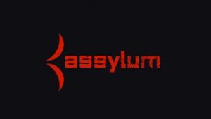 ASSYLUM STANDARD MEMBERSHIP | 30 DAYS WARRANTY