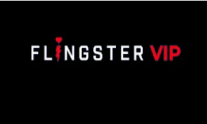 FLINGSTER PREMIUM +90 DAYS WARRANTY