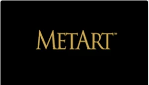 METART PREMIUM 1 MONTH WARRANTY