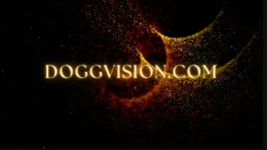 DOGGVISION PREMIUM | 30 DAYS WARRANTY